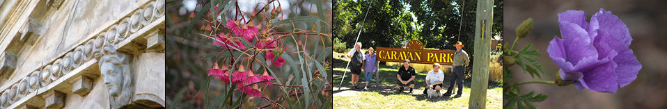 Clunes Caravan Park